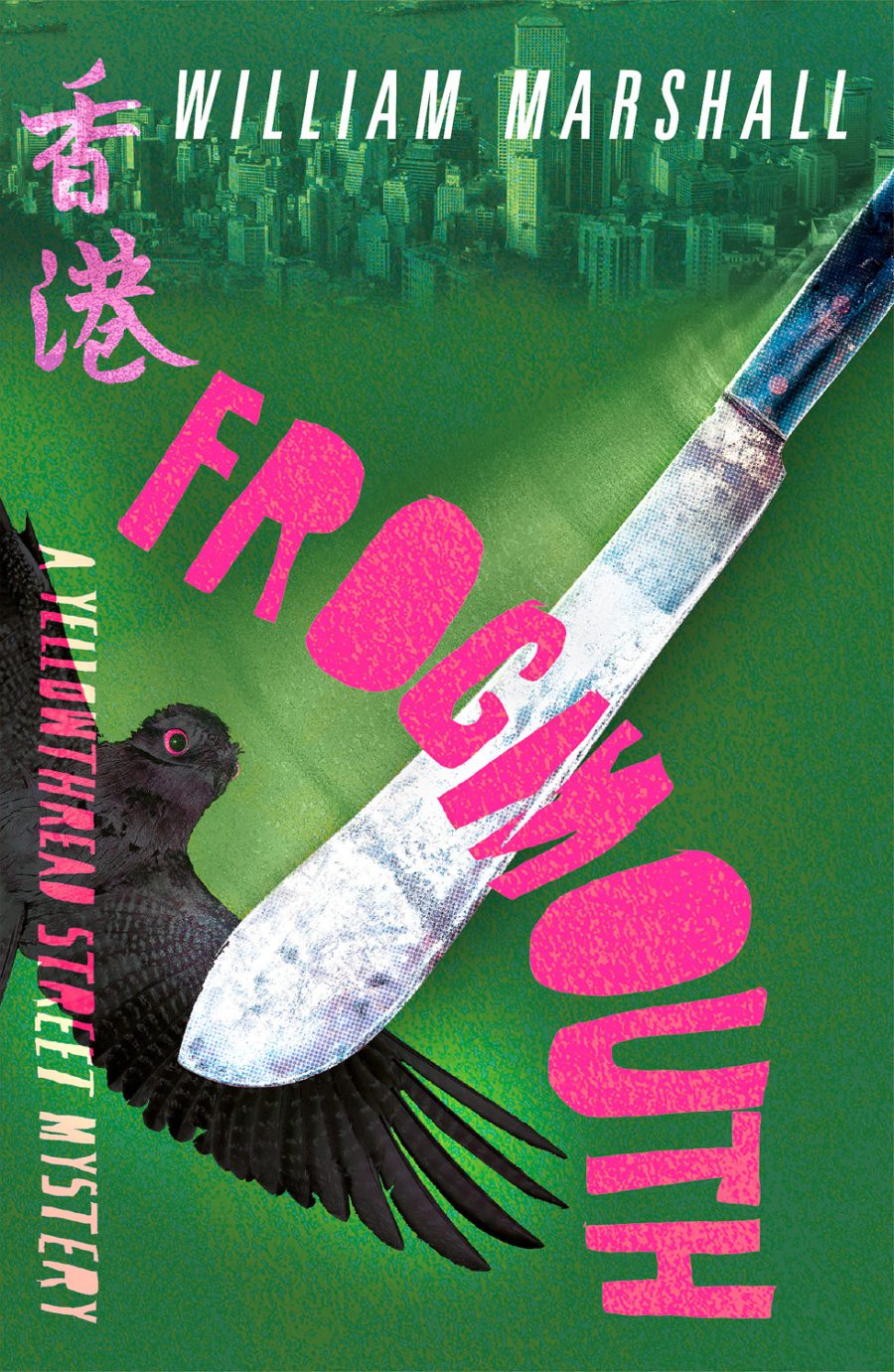 Frogmouth (ebook)